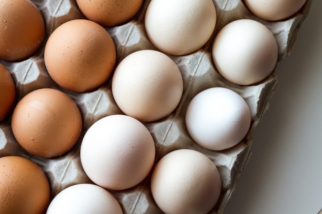 proteine uova