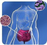 dieta microbioma intestinale