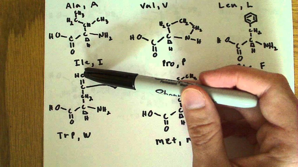 aminoacidi chimica