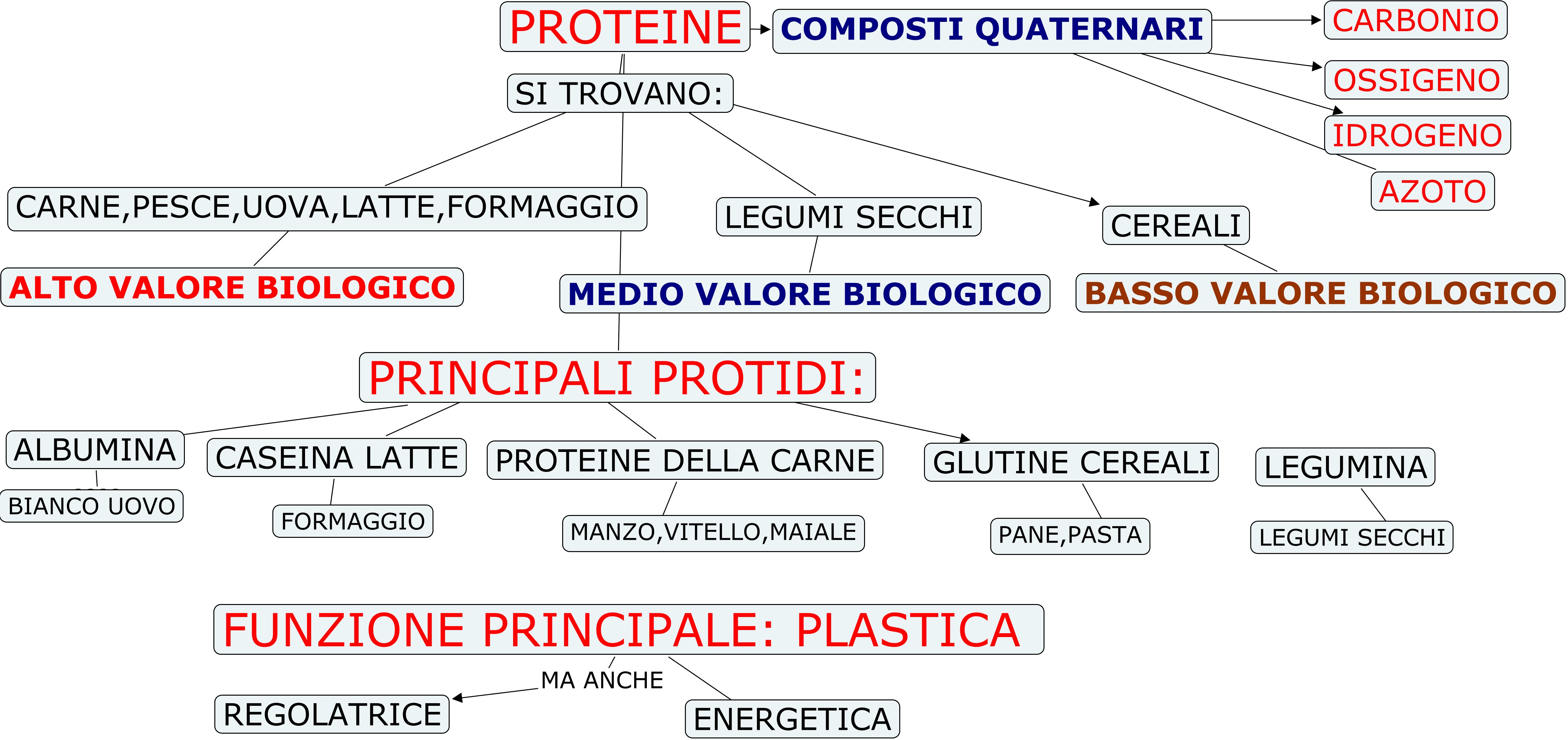 proteine macronutriente 